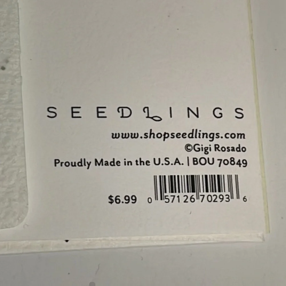 Seedlings note cards plantable envelopes 2 cards